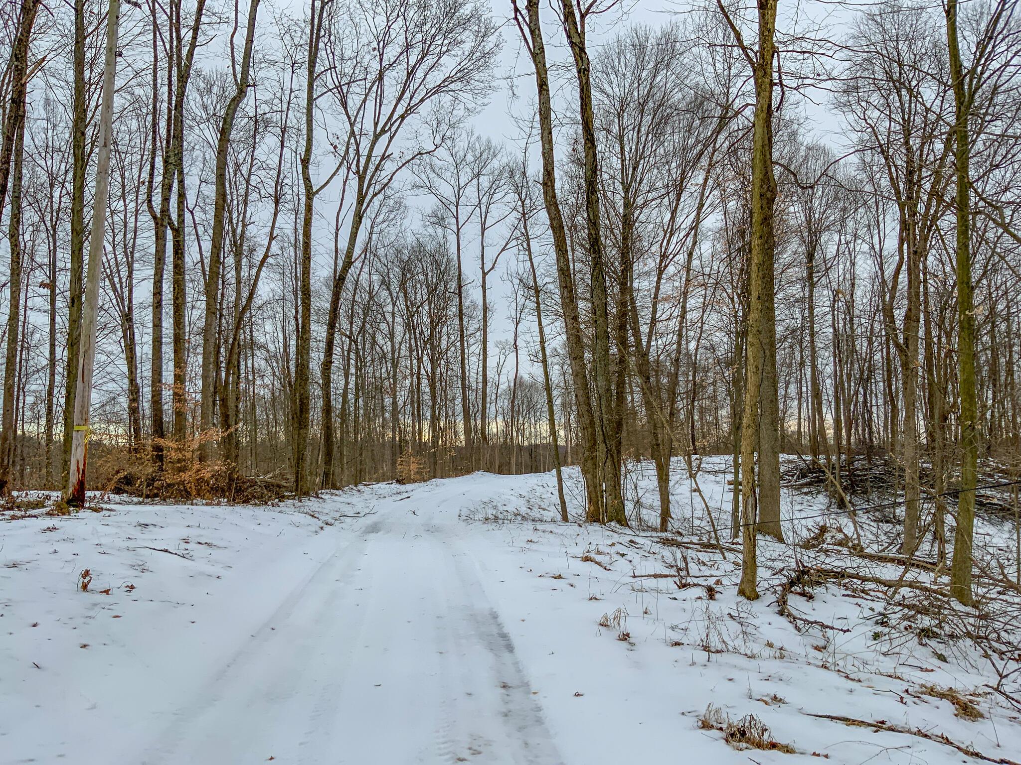 0 Lookout Road Rockbridge, OH 43149 - Photo 2 of 43 IMG_4953