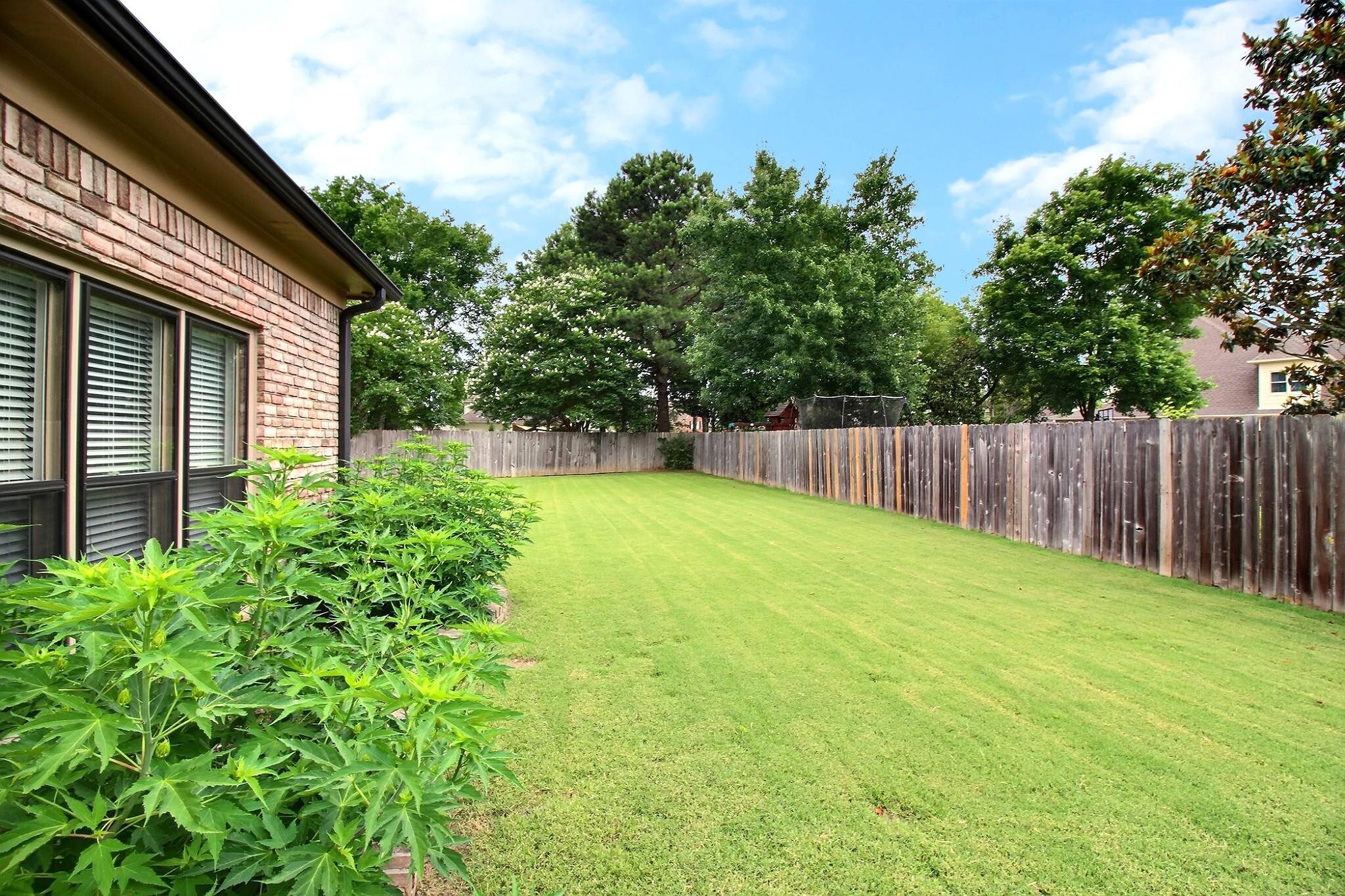 1156 Sunriver Cove Collierville, TN 38017 - Photo 32 of 37 a view of a backyard with a garden