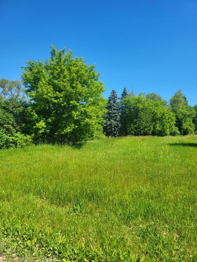 4957 East Valley Road Mount Pleasant, MI 48858 - Photo 2 of 6