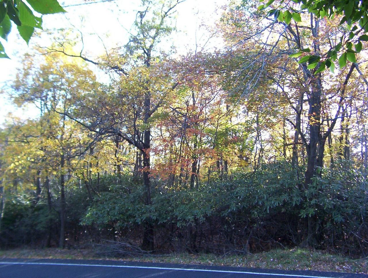 7005 Long Pond Road Long Pond, PA 18334 - Photo 1 of 8 a view of a city with lush green forest