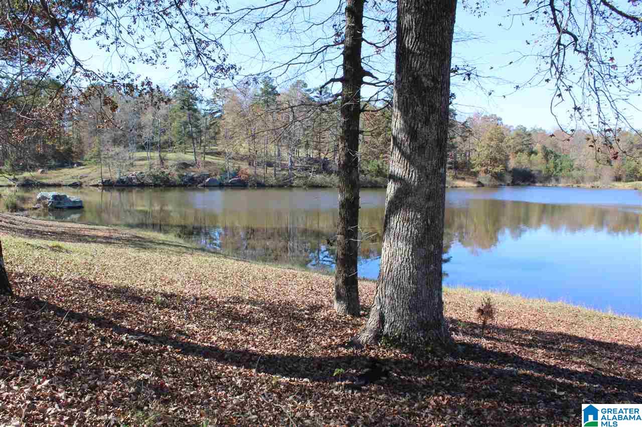 1825 Lynch Lake Road Odenville, AL 35120 - Photo 21 of 27