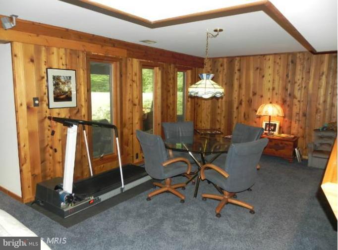 31 Owensville Road Lothian, MD 20711 - Photo 24 of 30 Basement