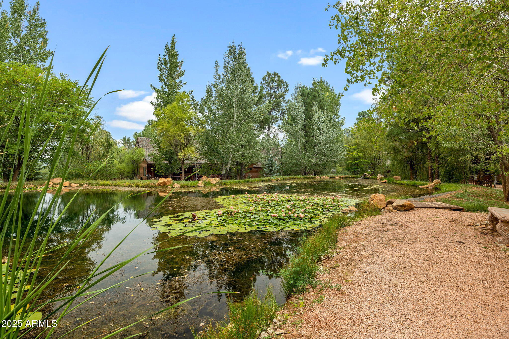 2300 Overgaard Springs Loop Overgaard, AZ 85933 - Photo 35 of 48 a view of a lake with a yard