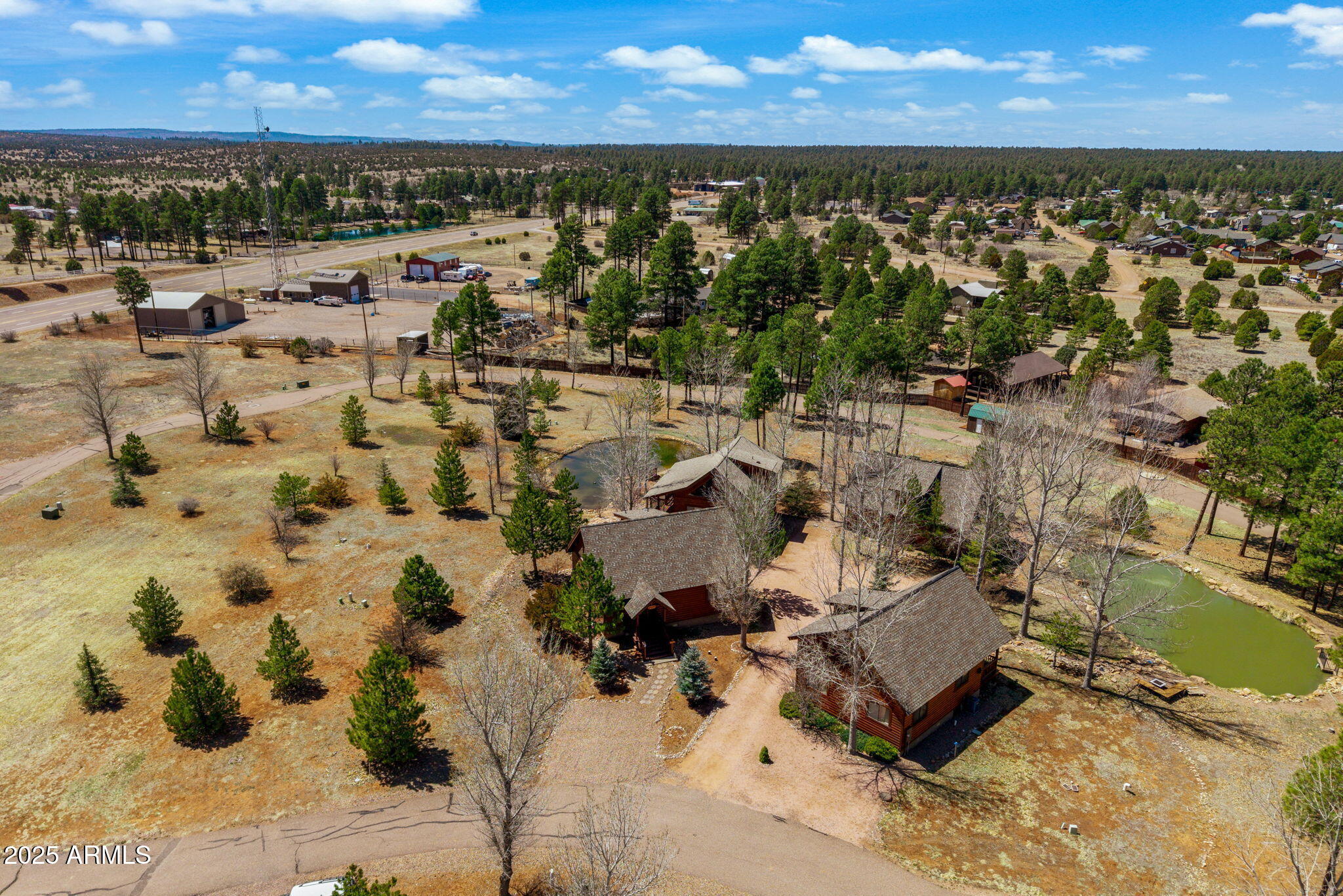 2300 Overgaard Springs Loop Overgaard, AZ 85933 - Photo 47 of 48 a view of a city