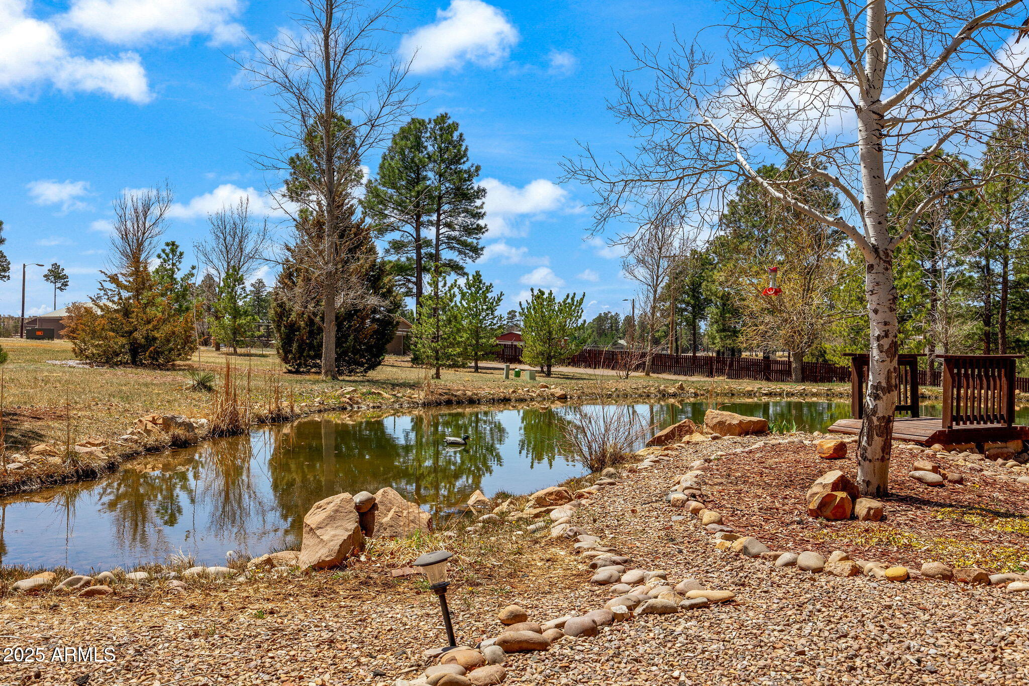 2300 Overgaard Springs Loop Overgaard, AZ 85933 - Photo 6 of 48 a view of a lake with a house