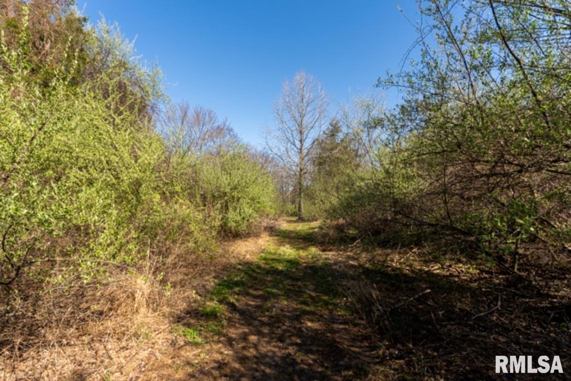 9951 Decatur Road Marion, IL 62959 - Photo 7 of 29