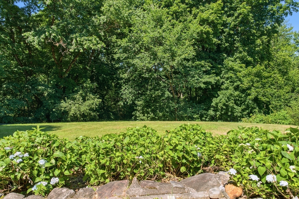 165 Tahattawan Road Littleton, MA 01460 - Photo 38 of 42