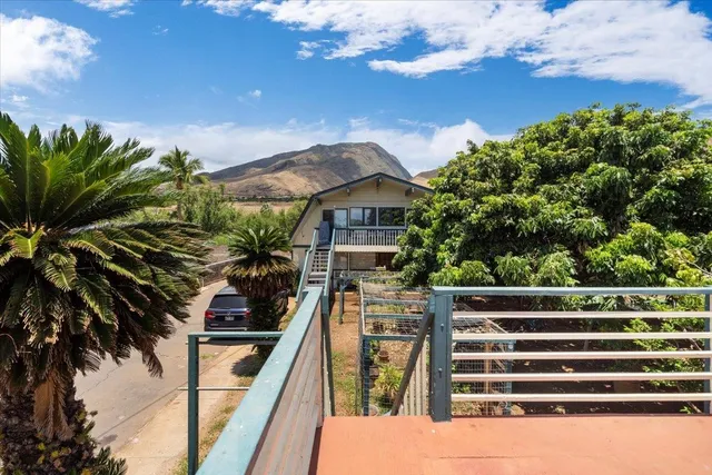a couple of palm trees in front of house