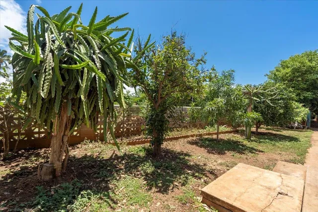 a view of outdoor space with garden