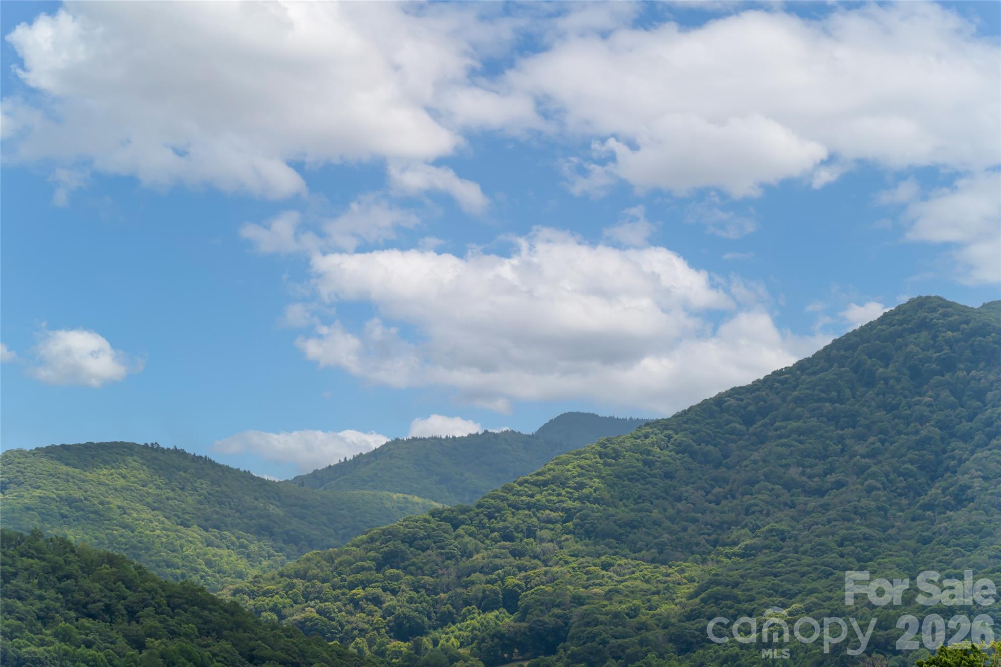 649 Panoramic Loop Maggie Valley, NC 28751 - Photo 3 of 44