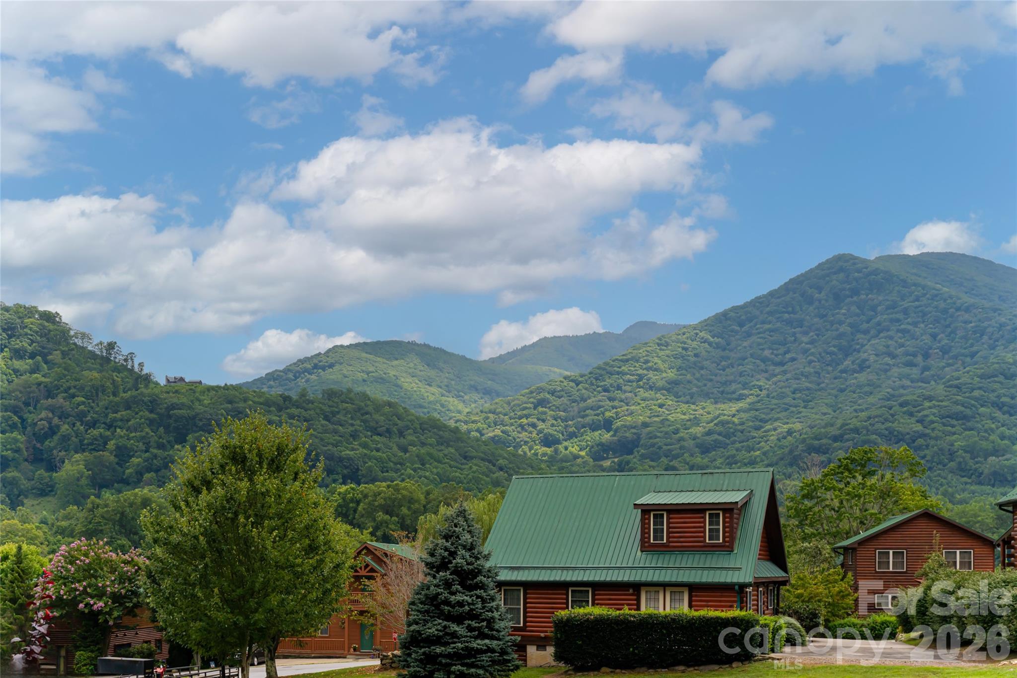 649 Panoramic Loop Maggie Valley, NC 28751 - Photo 39 of 44