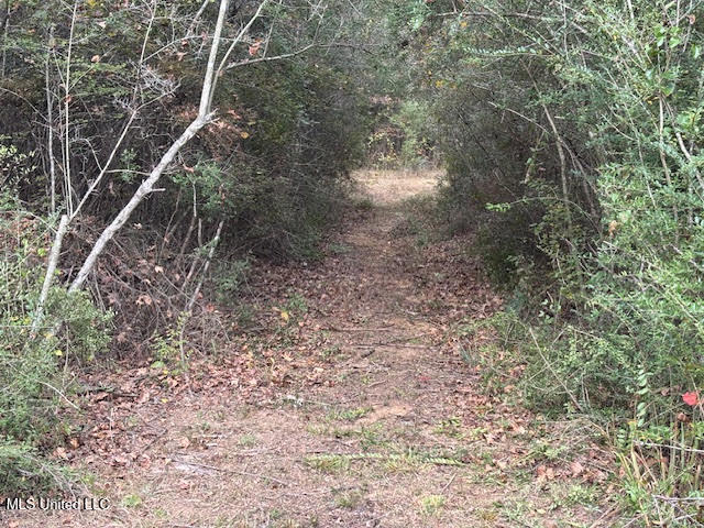 24 Old McComb, MS 39648 - Photo 11 of 13 Interior trail