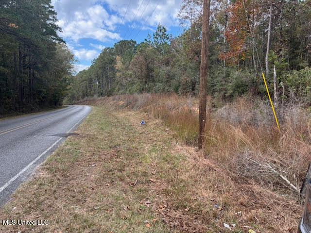 24 Old McComb, MS 39648 - Photo 12 of 13 Road frontage looking west