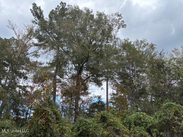 24 Old McComb, MS 39648 - Photo 4 of 13 jen1