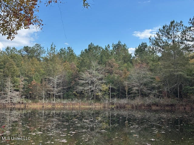 24 Old McComb, MS 39648 - Photo 5 of 13 jen2