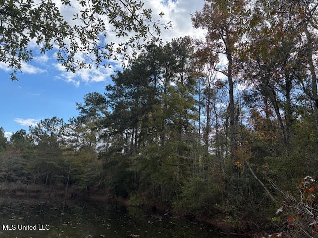 24 Old McComb, MS 39648 - Photo 6 of 13 jen3