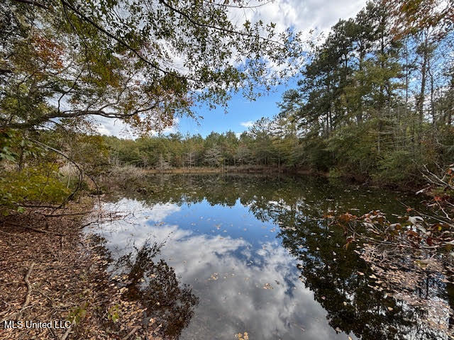 24 Old McComb, MS 39648 - Photo 7 of 13 Pond