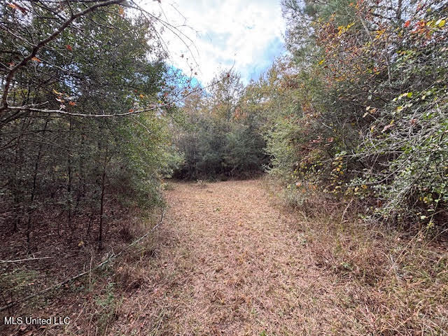 24 Old McComb, MS 39648 - Photo 8 of 13 jen5