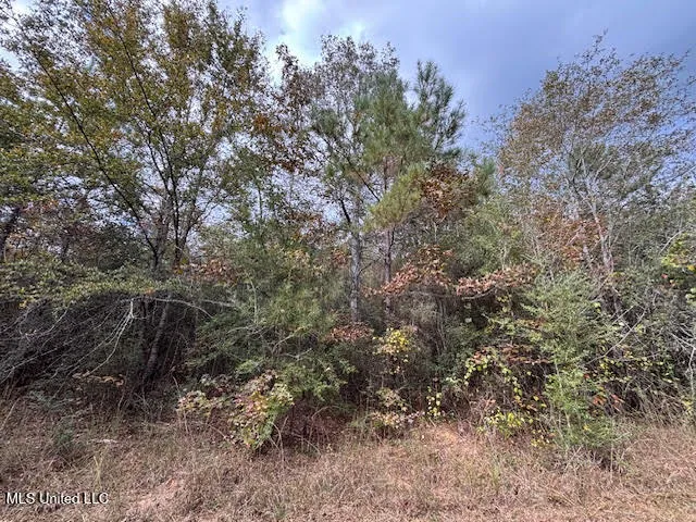 $174,000 | 24 Old, McComb, MS 39648