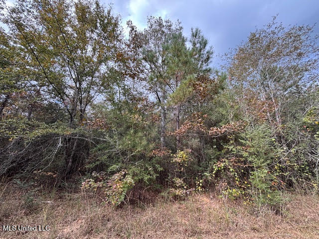 24 Old McComb, MS 39648 - Photo 9 of 13 Volunteer growth trees