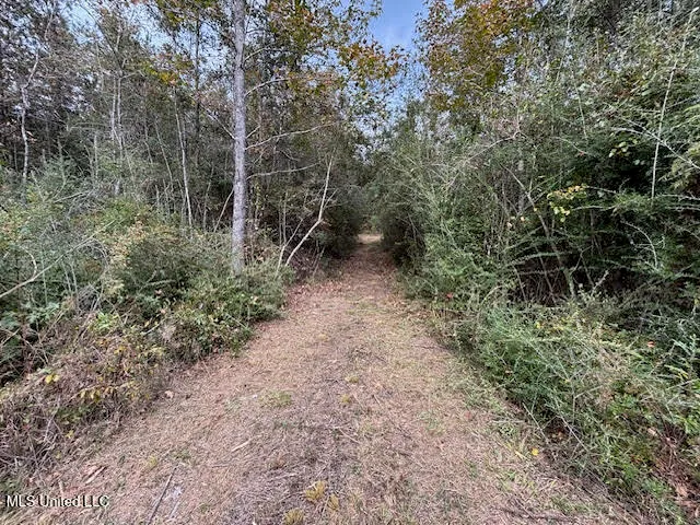 $174,000 | 24 Old, McComb, MS 39648