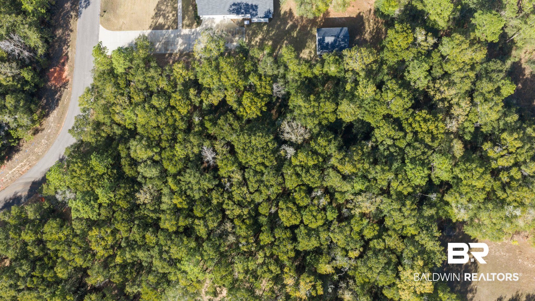 0 Pandion Drive Foley, AL 36535 - Photo 8 of 19