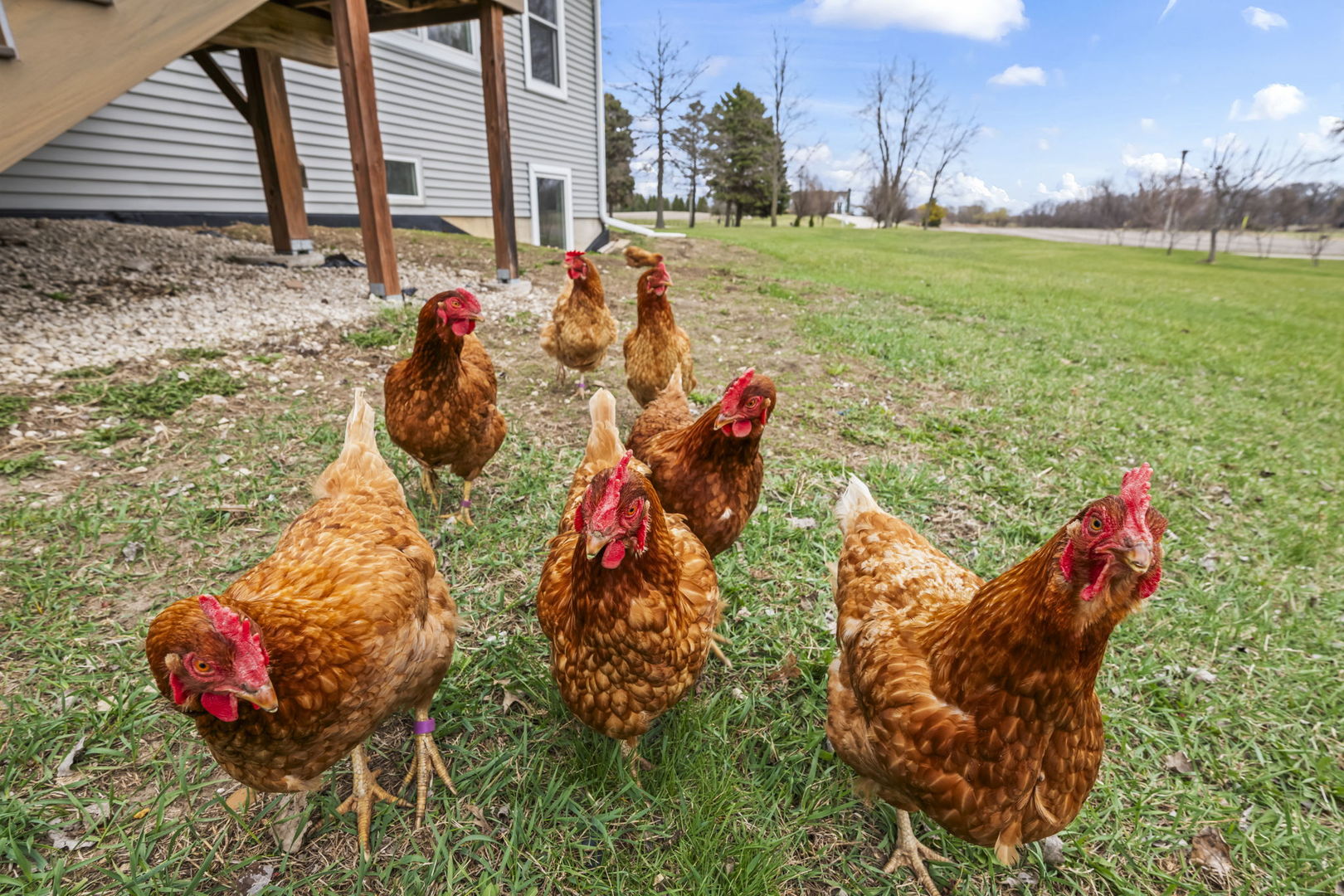 9119 Riley Road Marengo, IL 60152 - Photo 18 of 49