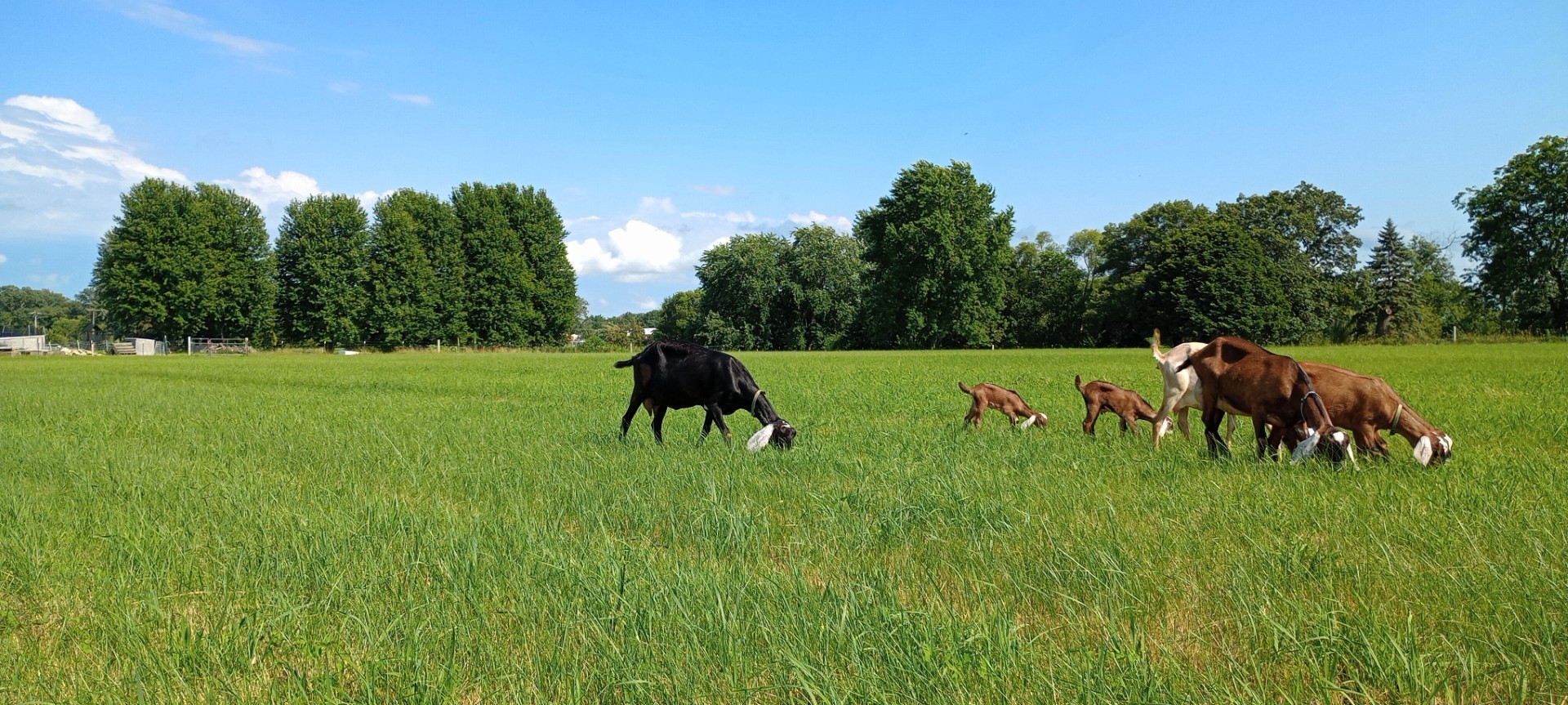 9119 Riley Road Marengo, IL 60152 - Photo 19 of 49