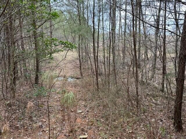 2129 Fredonia Road Dunlap, TN 37327 - Photo 4 of 11