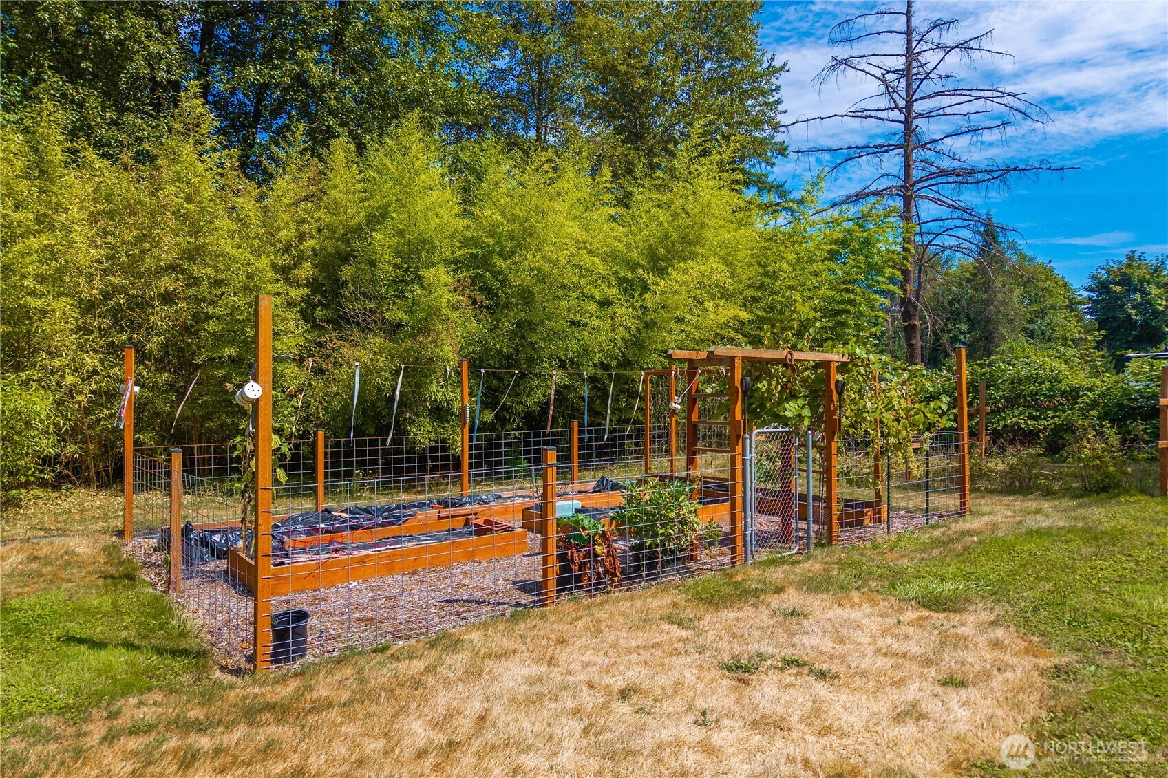 18201 Renton-Maple Valley Road Maple Valley, WA 98038 - Photo 22 of 37 a view of a park with swings