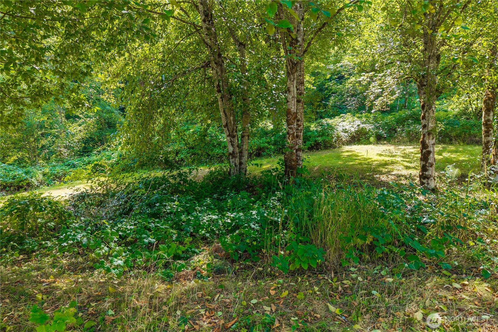 18201 Renton-Maple Valley Road Maple Valley, WA 98038 - Photo 27 of 37 a view of a lush green space