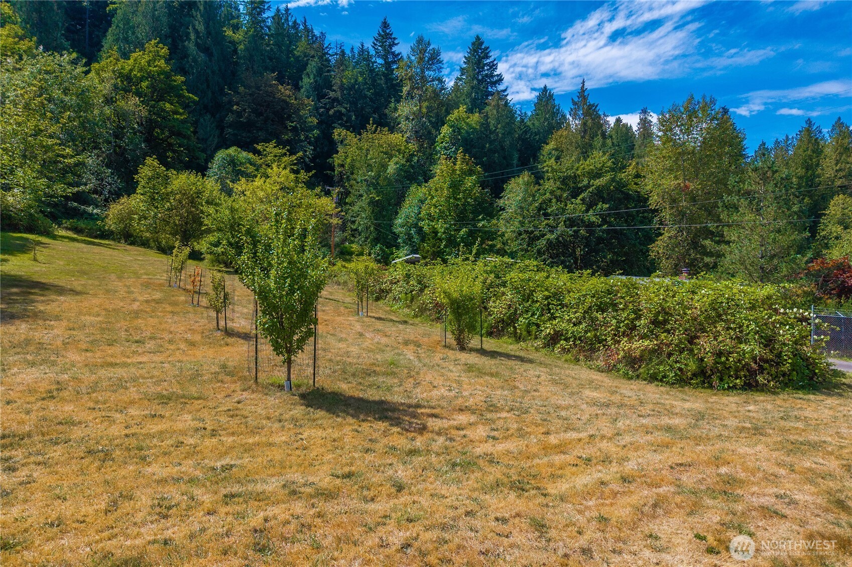 18201 Renton-Maple Valley Road Maple Valley, WA 98038 - Photo 29 of 37 a view of a yard with an trees