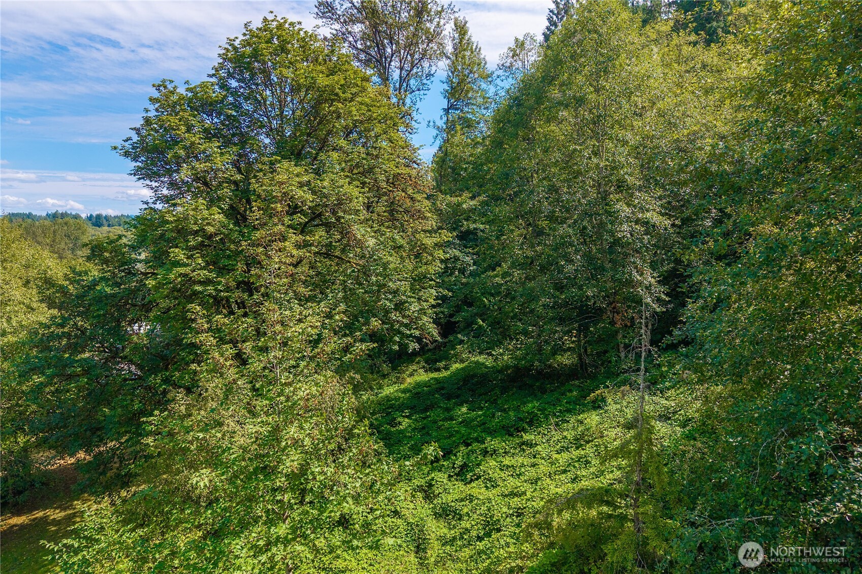 18201 Renton-Maple Valley Road Maple Valley, WA 98038 - Photo 30 of 37 a view of a lush green forest