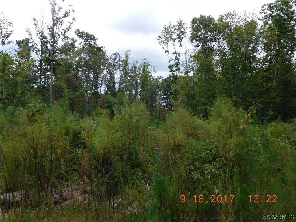 14626 Nash Road Chesterfield, VA 23838 - Photo 3 of 6 a view of a yard