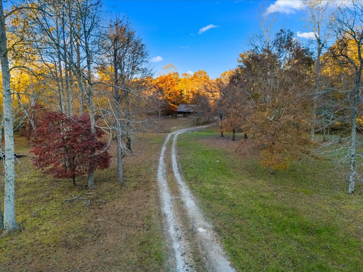 450 Flat Branch Road Tracy City, TN 37387 - Photo 14 of 57 a view of a park with large trees