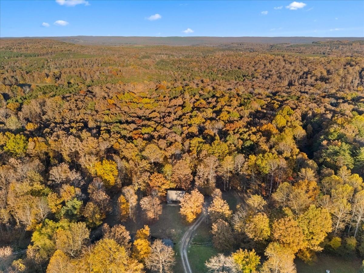 450 Flat Branch Road Tracy City, TN 37387 - Photo 15 of 57