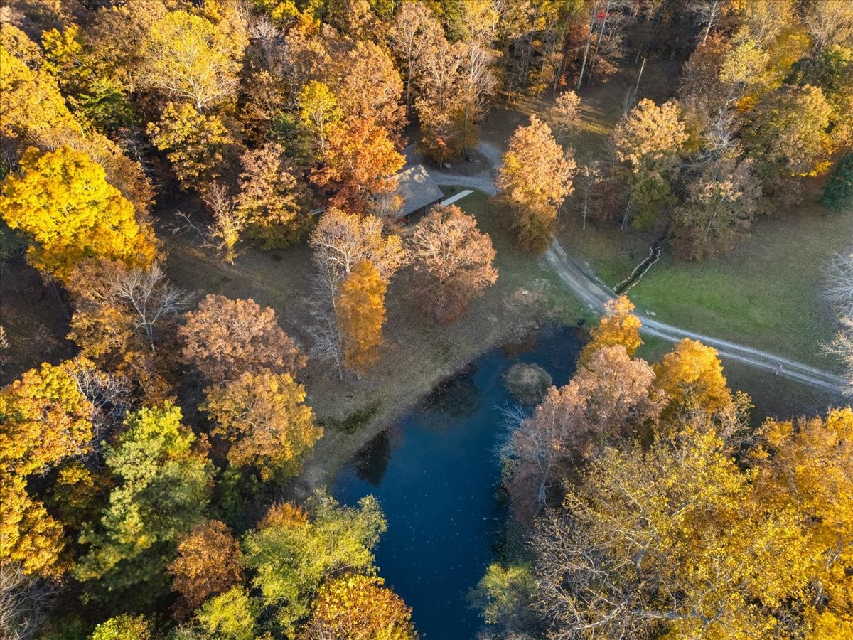 450 Flat Branch Road Tracy City, TN 37387 - Photo 18 of 57 a yard with lake