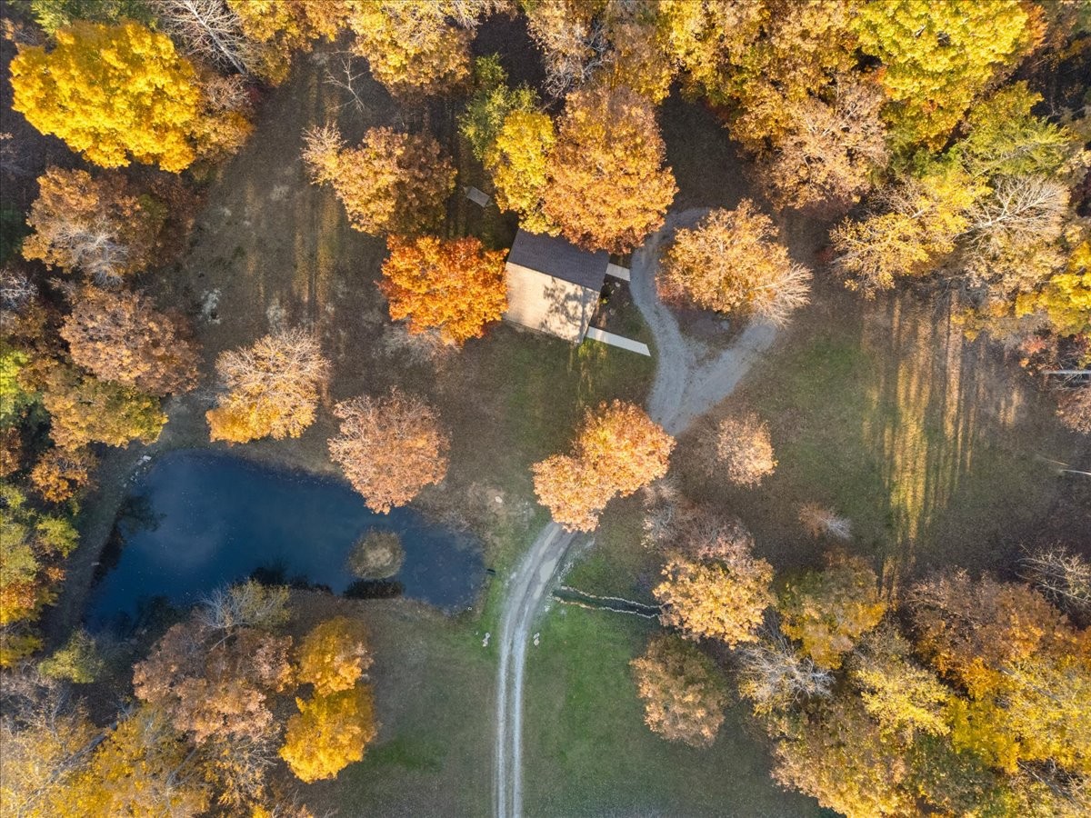 450 Flat Branch Road Tracy City, TN 37387 - Photo 2 of 57 a view of a flower