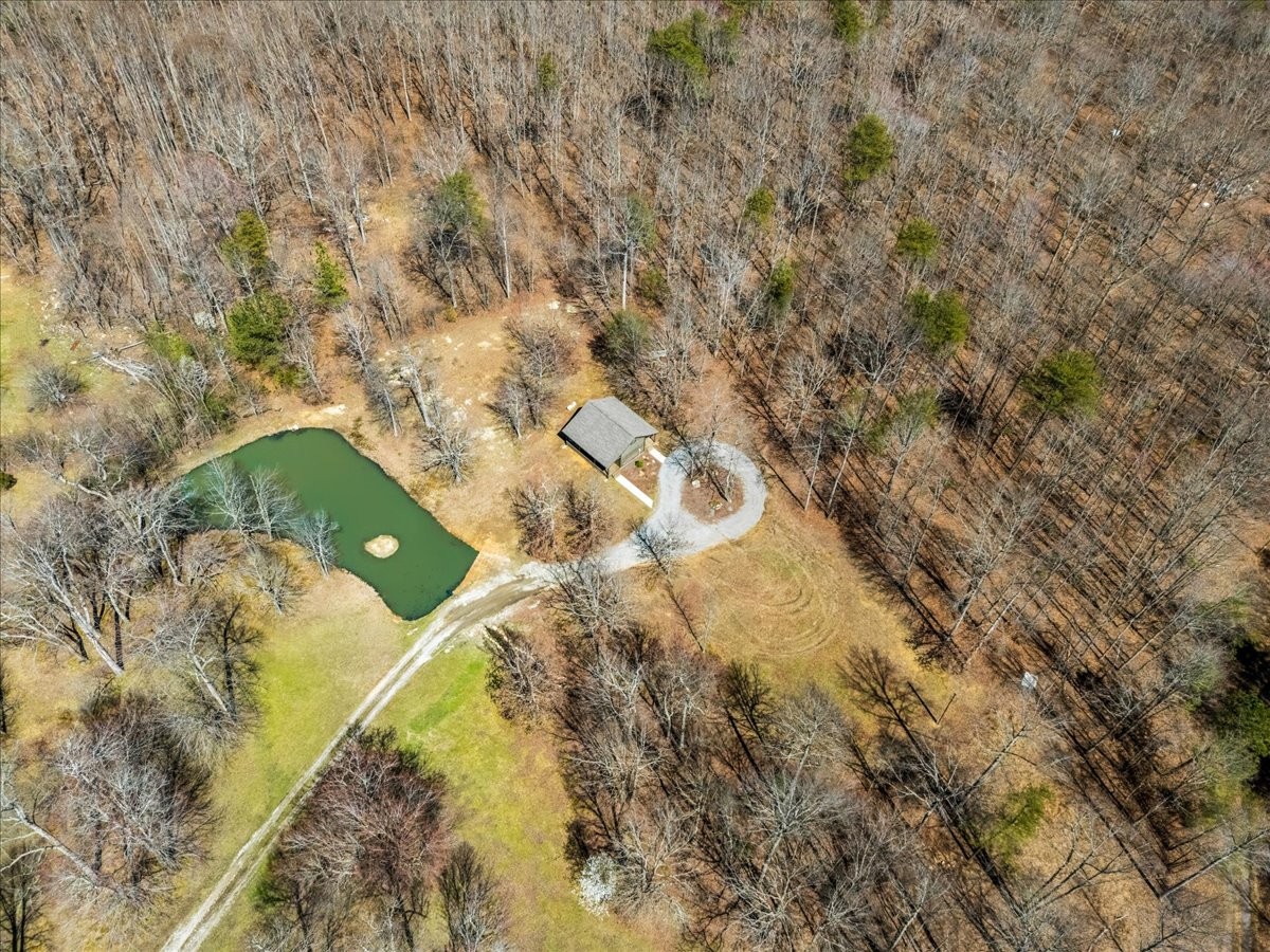 450 Flat Branch Road Tracy City, TN 37387 - Photo 51 of 57 a view of yard