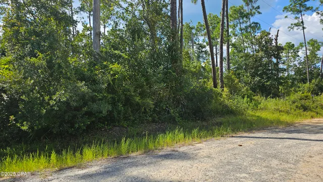 $699,000 | 0 Cutchens Road, Southport, FL 32409