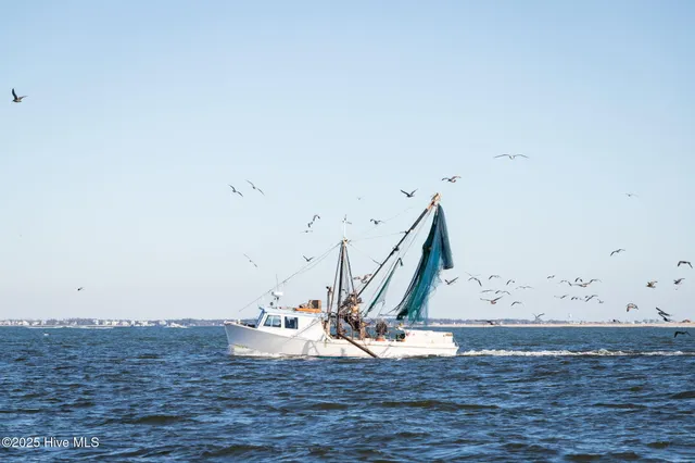 $70,000 | 0 Straits Cut-Off Road, Beaufort, NC 28516