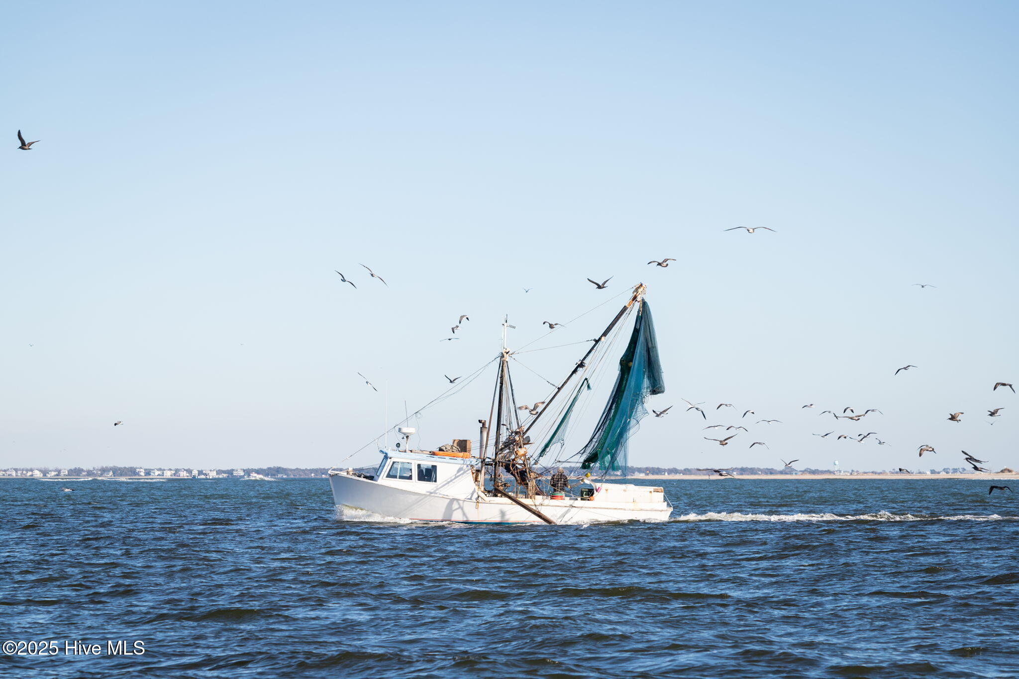 0 Straits Cut-Off Road Beaufort, NC 28516 - Photo 19 of 19 Scenes from Down East