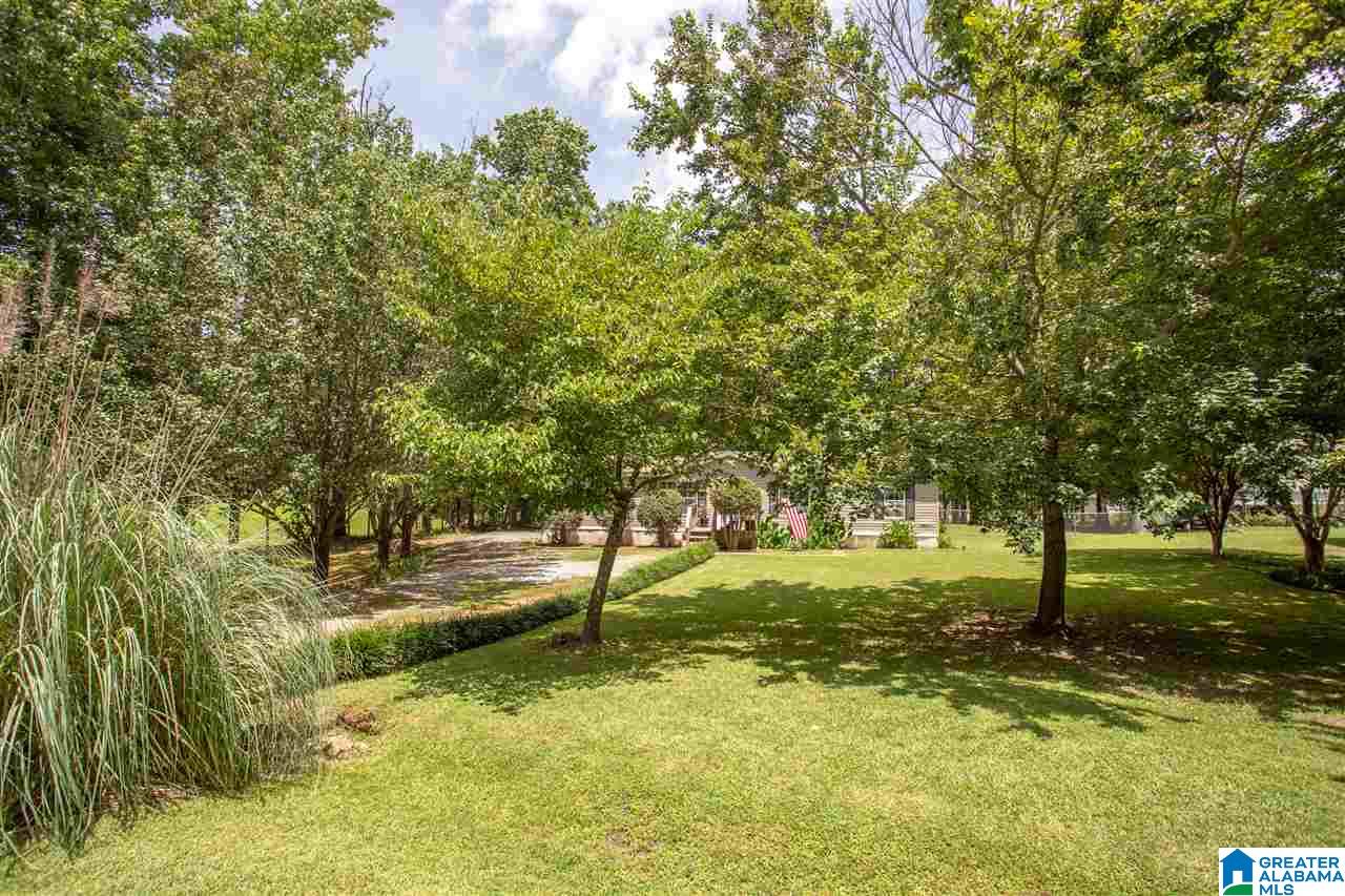 172 Cheyenne Street Leeds, AL 35094 - Photo 39 of 39
