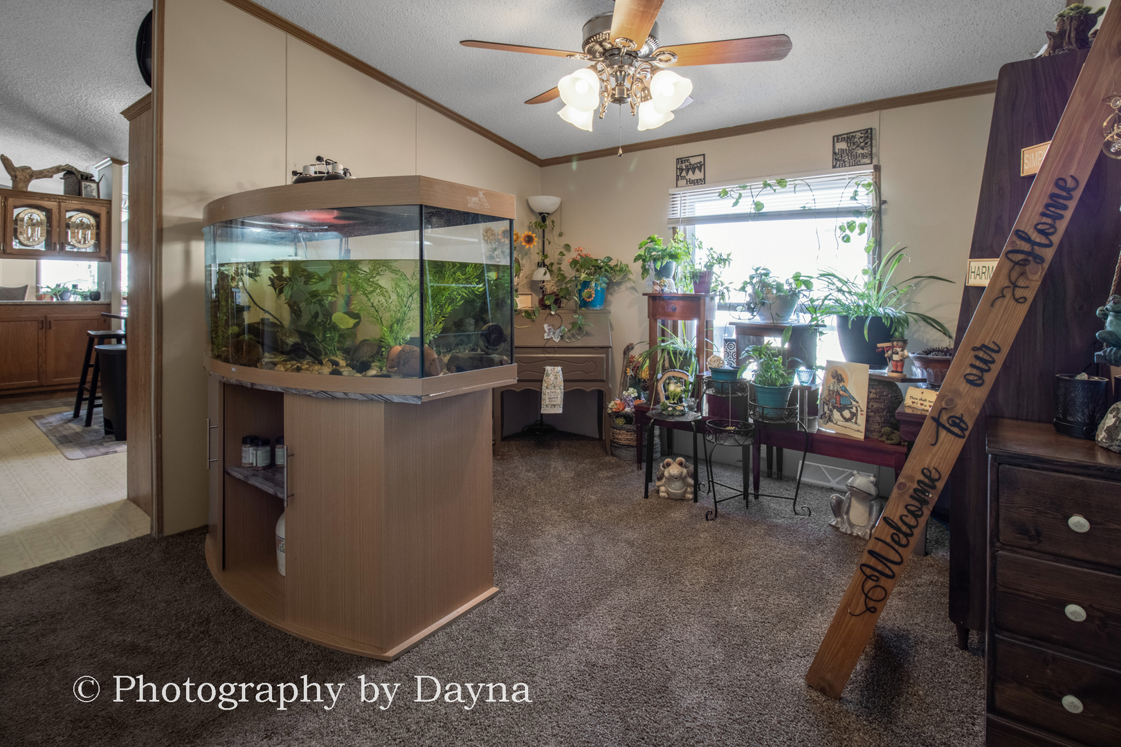 85 St Michaels Drive Bourbonnais, IL 60914 - Photo 6 of 14 a view of a dining room with furniture window and outside view