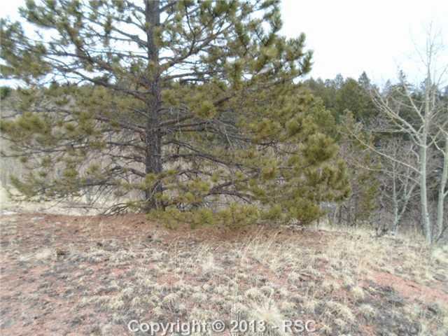 340 Princess Road Cripple Creek, CO 80813 - Photo 3 of 10 Gallery Image 3