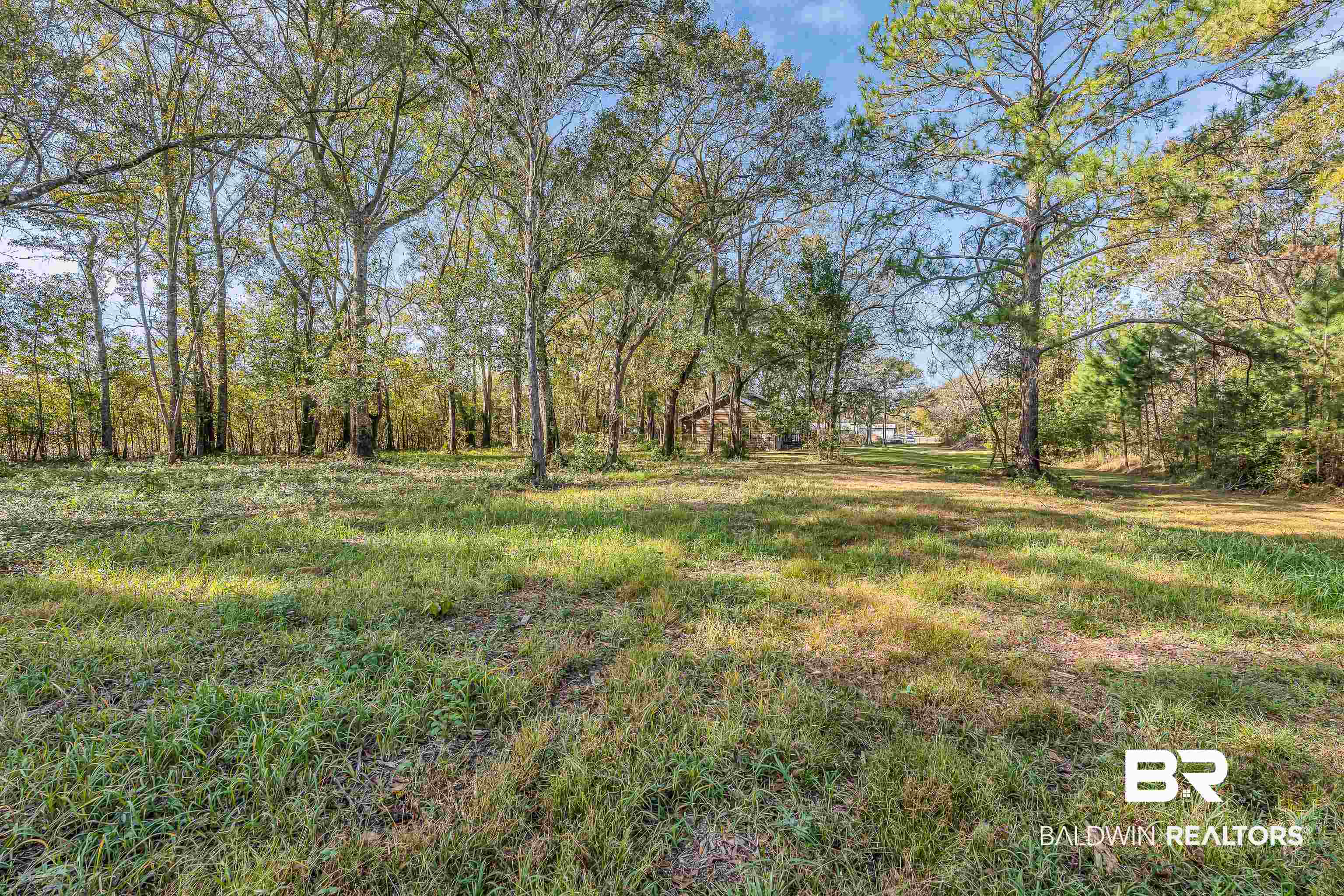 7787 Bellingrath Road Theodore, AL 36582 - Photo 8 of 36 View of yard