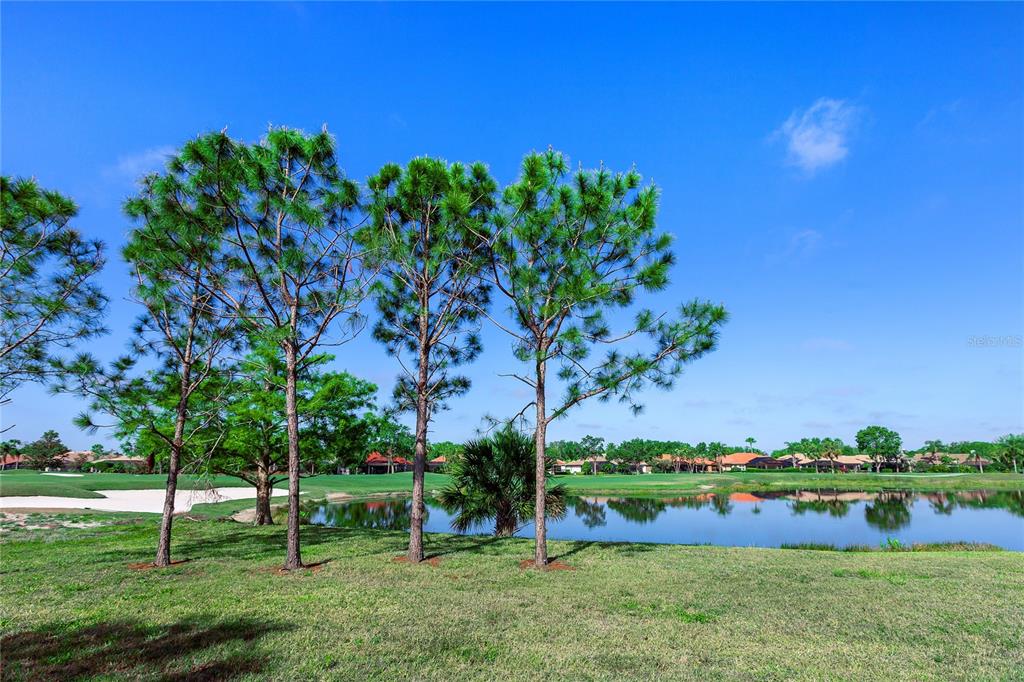 8142 Miramar Way Lakewood Ranch, FL 34202 - Photo 13 of 45 front view of a house with a yard