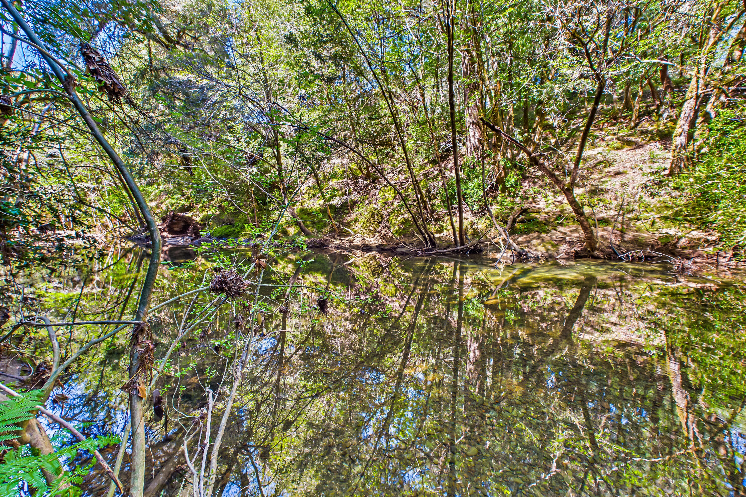 290 Green House Road Whitethorn, CA 95589 - Photo 69 of 73 70-290 Green House-269