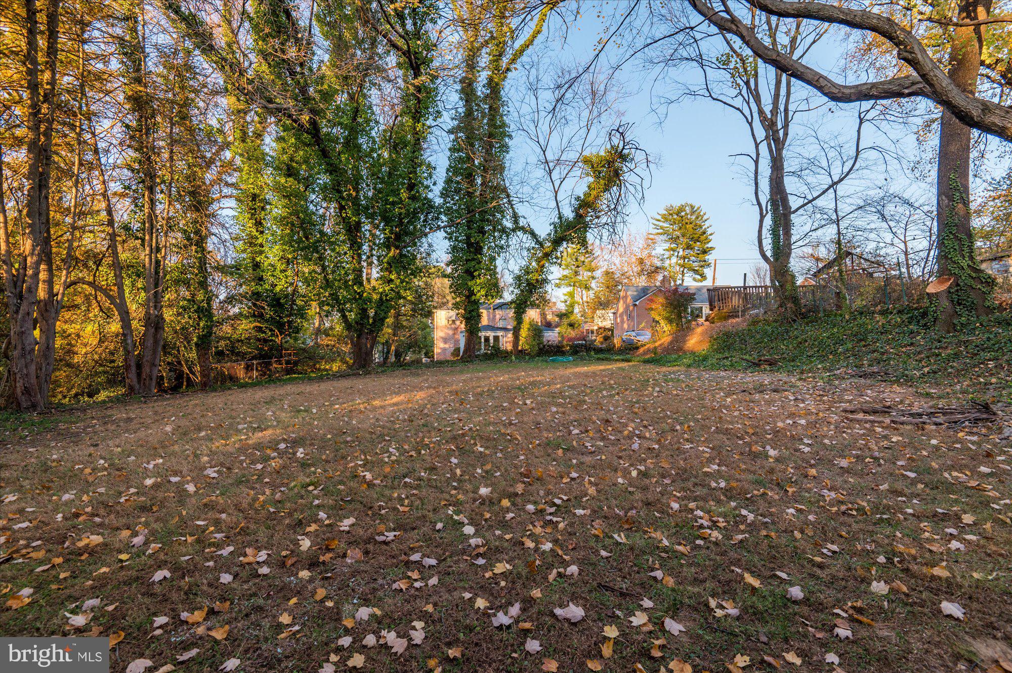 1005 Highland Drive Silver Spring, MD 20910 - Photo 59 of 61 Backyard