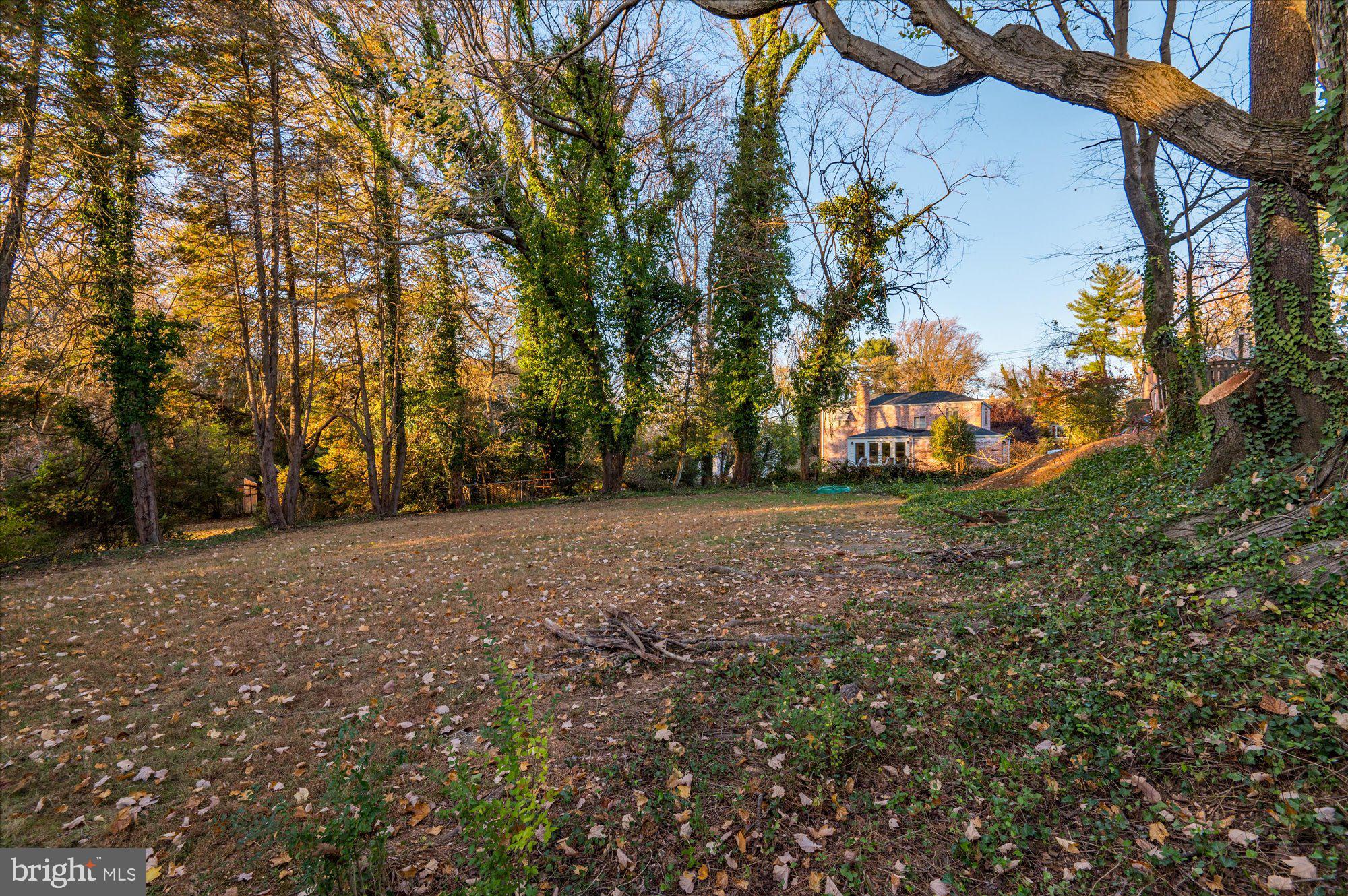 1005 Highland Drive Silver Spring, MD 20910 - Photo 60 of 61 Backyard